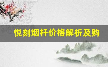 悦刻烟杆价格解析及购买建议
