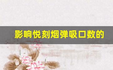 影响悦刻烟弹吸口数的关键因素解析